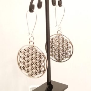 Gun metal disc earrings
